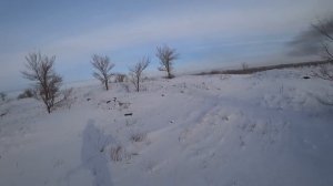 Охота на зайца 2024 г. Их предупредили)))