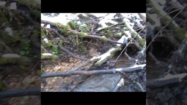 Внешние признаки наличия золота в ручье смотреть онлайн