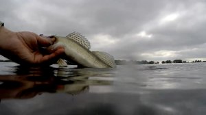 Рыбалка на микроджиг. Остров Средний. Самара.