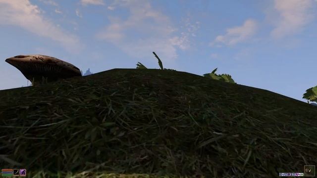 Замки,дворцы,поместья для игрока в Морровинд - 7 штук (Моды)