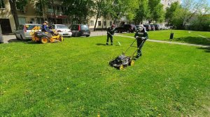 Почему нужно стричь газоны и одуванчики?