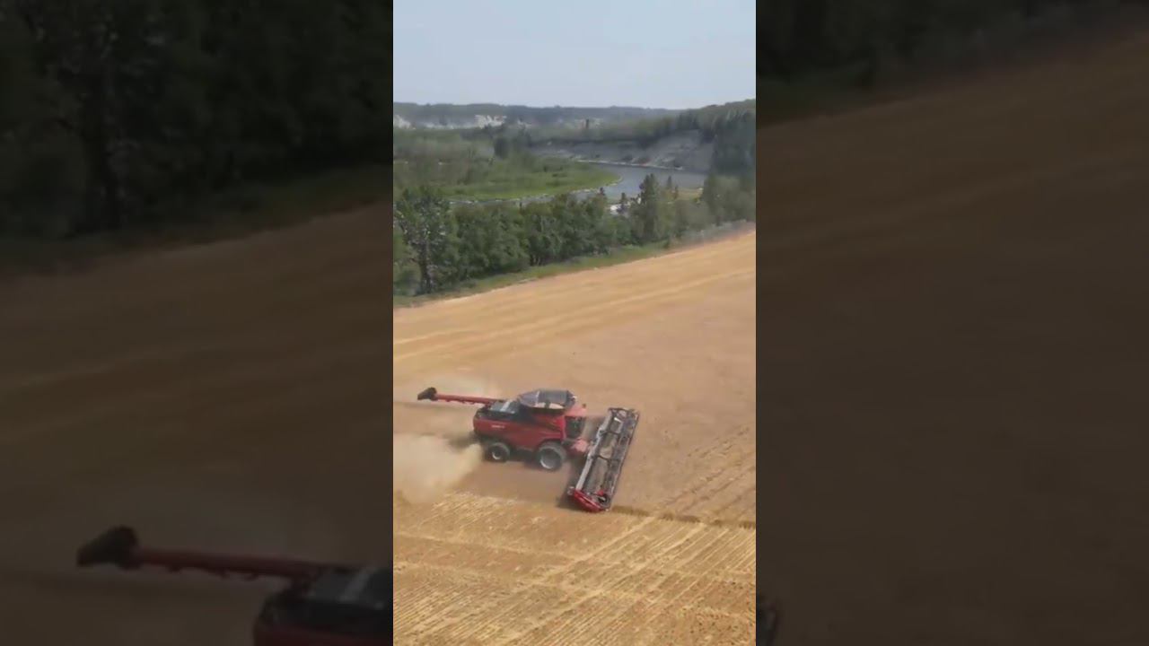 Техника мировая !!! смотреть онлайн