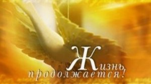 Жизнь продолжается