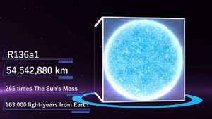 Universe Size Comparison - 2021