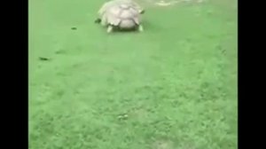 Песня дружба это не работа😂