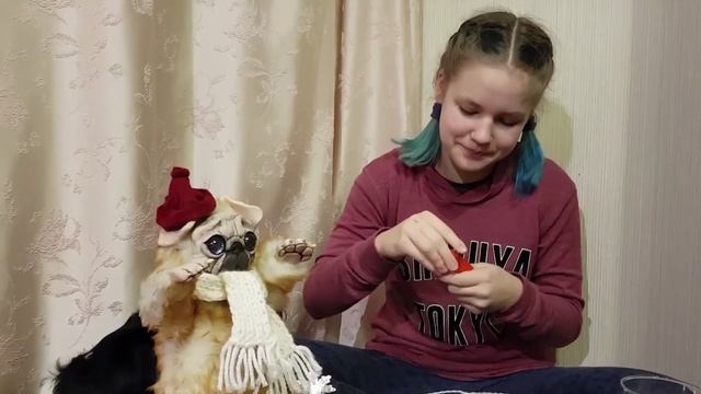 Попробуй не запивать челлендж с моей собакой смотреть онлайн