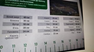 Допустимые размеры рыб  при  любительской рыбалке. .