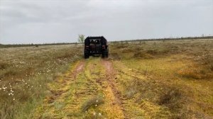 Рдейское болото. Засадили Шерп Макс!