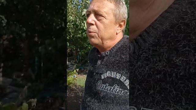 Ремонтантная клубника Альбион смотреть онлайн