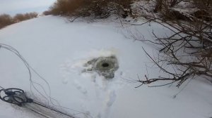 рыбалка на хапуги