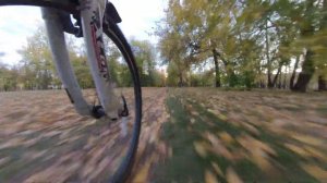 Покатушки на велосипеде по парку Изумрудный в Барнауле