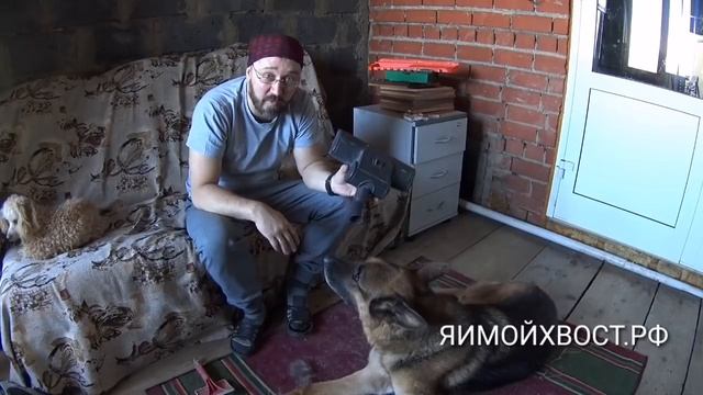 Турбощетка, как избавится от шерсти на ковре. смотреть онлайн