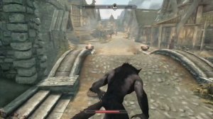 Maxed Out Werewolf vs The Companions - Skyrim