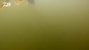 САМЫЙ БЫСТРЫЙ МЕТОД ЛОВЛИ ЩУК! x АЛЕКСЕЙ ШАНИН