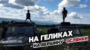 Джип-тур на гелендвагенах на вершину горы Ослянки (высшая точка Среднего Урала) с Джип59.рф
