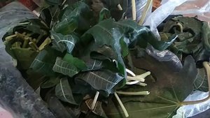 Ферментированный чай из листьев инжира.