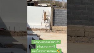 ПРИКОЛЫ 2024 смешные ВИДЕО ЧУДИКИ tiktok