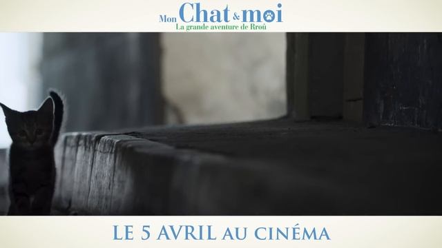 Mon Chat et Moi - Bande-annonce officielle - UGC Distribution смотреть онлайн