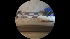 14-я серия моих Мульт-историй (ФИНАЛ)