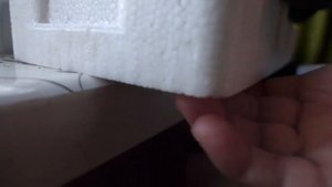 Как регулировать температуру для рассады на подоконнике. Все очень просто!