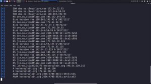 6. Passive DNS Enumeration