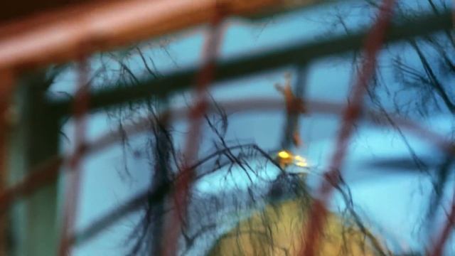 Юлия Топольницкая о капитальном ремонте в Петербурге смотреть онлайн