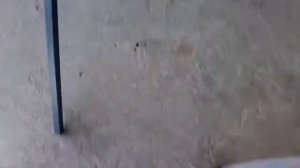 рот под сваими руками