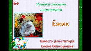 13. Как научиться писать изложение? Изложение "Ёжик"