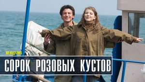 Сорок розовых кустов 1-4 серия. Детективная мелодрама  2022 на ТВЦ. Дата выхода - сюжет