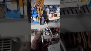 Принцип работы оптических датчиков