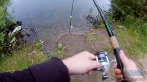 Ловля карася на фидер в июне. Снасть Убийца карася и пенопласт. (3 серия)