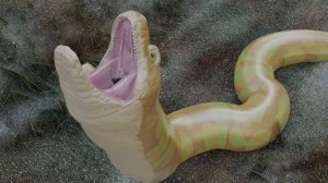 Snake vore HD [no sound]