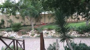 Magic Royal Kenz Thalasso 4*, Тунис, Сусс, Порт Эль Кантауи. Обзор отеля.