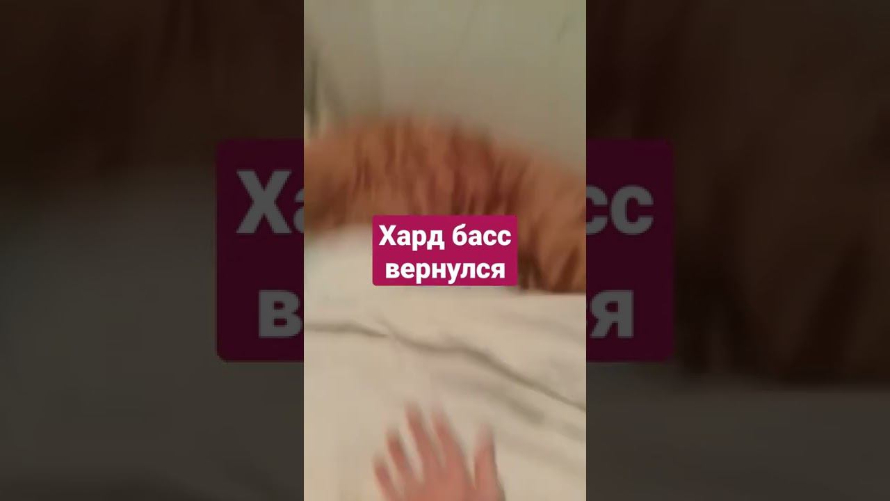 23 июля 2022 г. смотреть онлайн