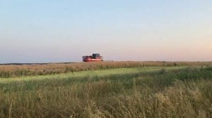 ночная уборка камбаин 2124 в Могилевской области Г.Шклов