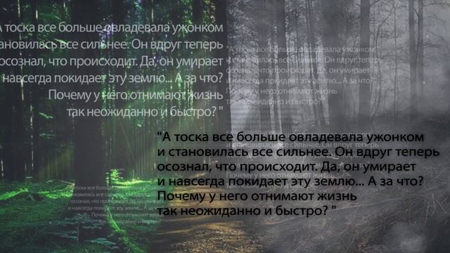 Ирина Павлова. УЖОНОК. Сказка для взрослых. смотреть онлайн