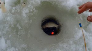 Зимняя Рыбалка.  Руза. Рузское водохранилище. Зимняя рыбалка глухозимье