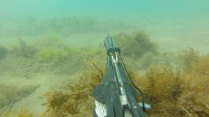 Подводная охота в Туапсе.