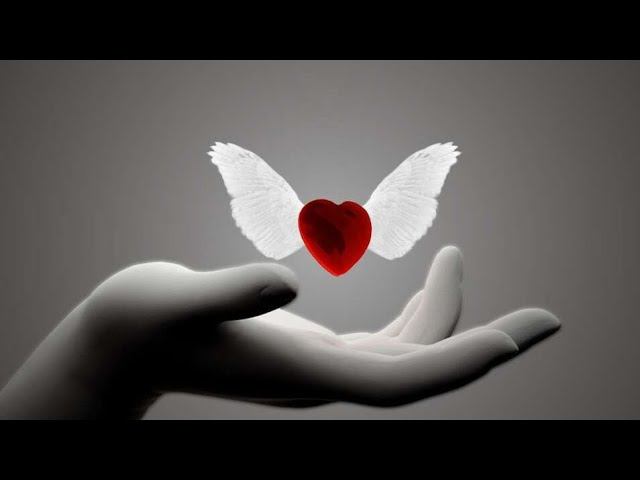 Каролина - Сказки добрые смотреть онлайн