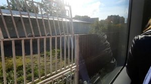 Отправление от Финляндского вокзала Санкт-Петербурга на скоростном электропоезде Ласточка Осень 2021