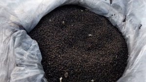 Ручная сеялка для люцерны. Смерч в Кропивницком. Сидераты осенью в зиму.