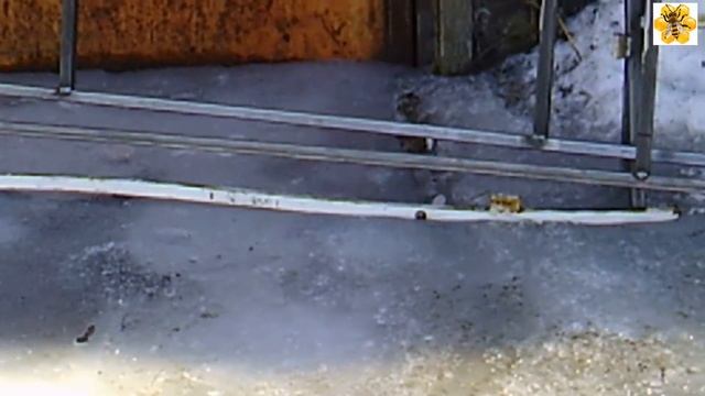 Теплица крепкая из профтрубы изготовление стоимость смотреть онлайн