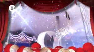 «Шоу слонов»