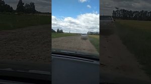 Курская область Конышевский район