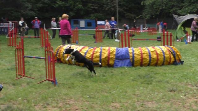 Кубок УДП "Рублёвка" по Аджилити. 10.09.2016 г. смотреть онлайн