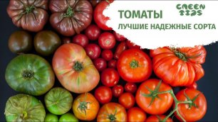 Лучшие семена томатов, наши рекомендации по сортам.