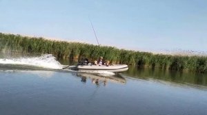 Болотоход с гибким валом.