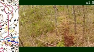 Headcam Orienteering #039 Спортивное ориентирование - ККП-2022 М35 - 3.4 км. 2022.06.16