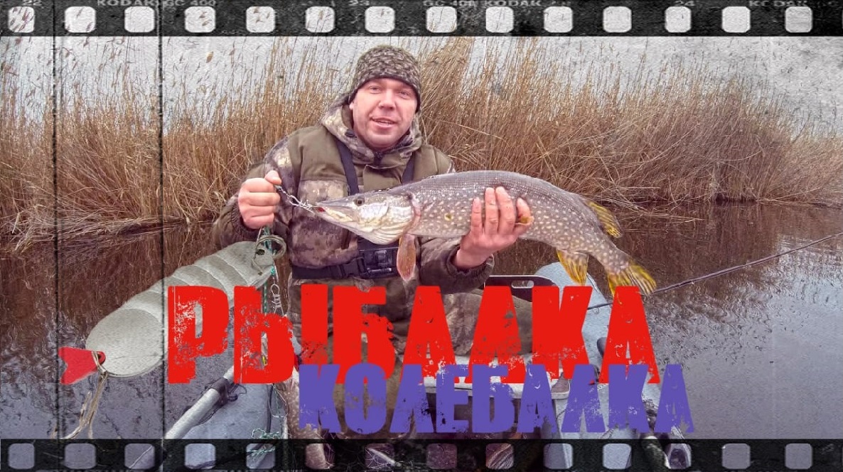 Рыбалка 3 щука. Самые большие щуки пойманные в России. Лучшие места для рыбалки на Оке. Поклевка щуки на спиннинг гиф.