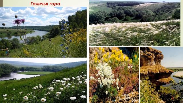 Заповедники России